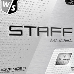 Wilson Staff Model